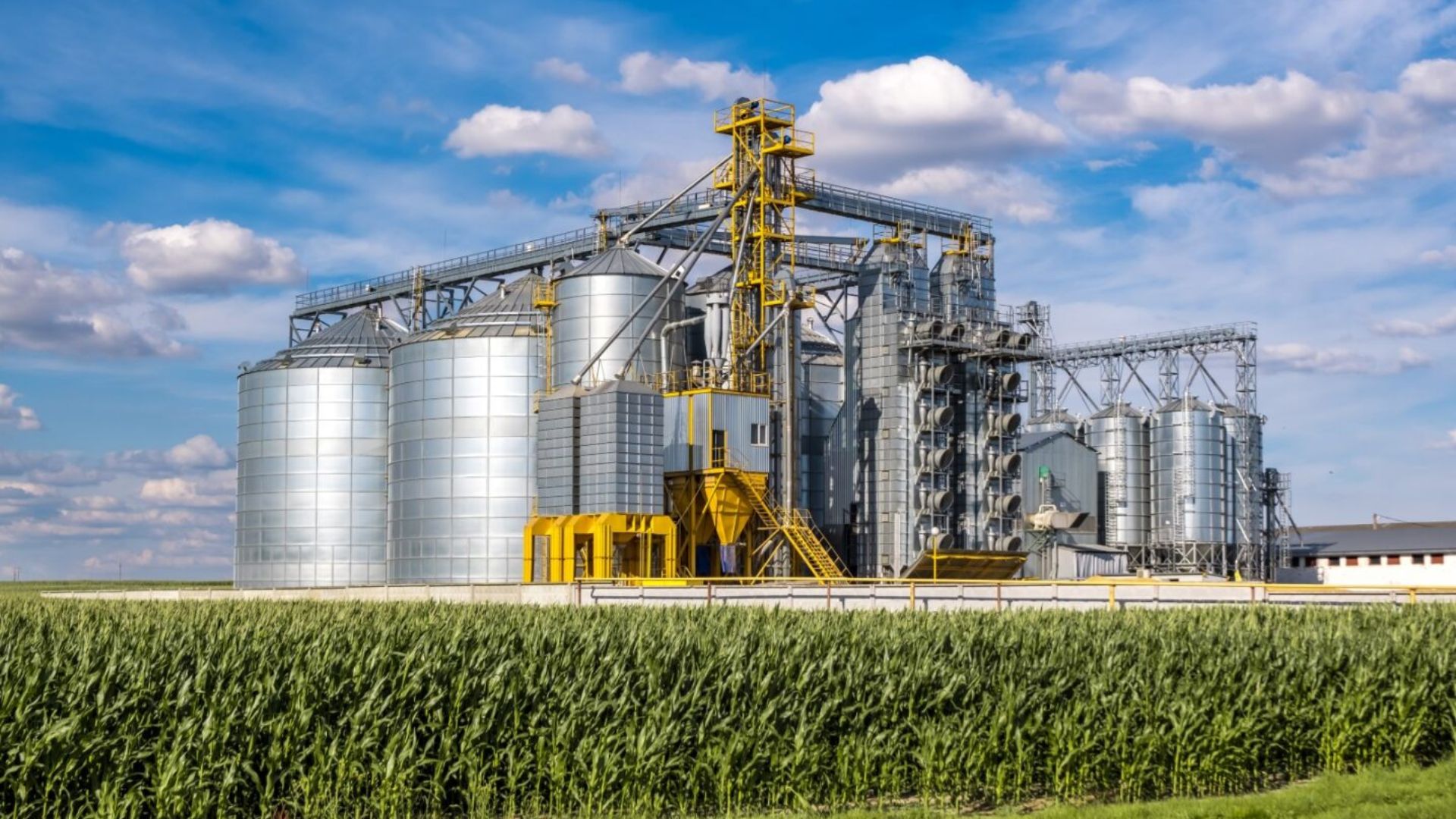 Grain Drying Fans